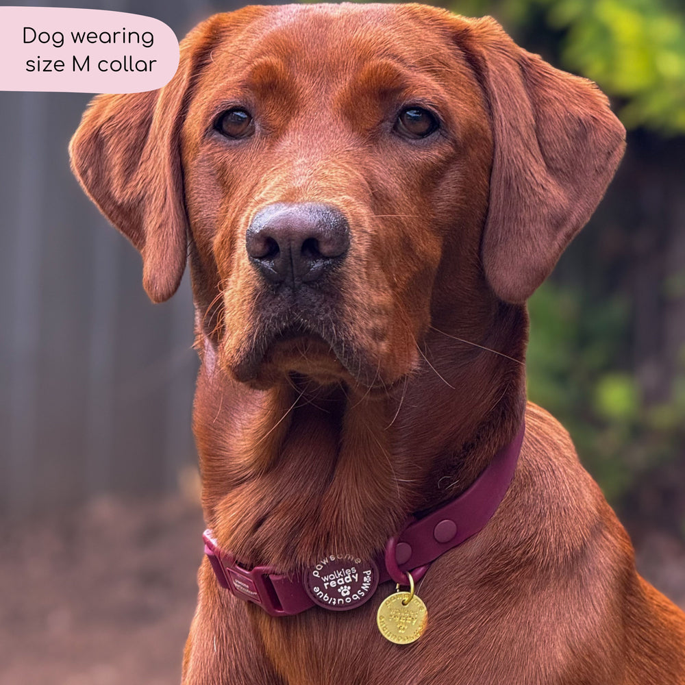 Waterproof Collar - Walkies Ready® Mulberry