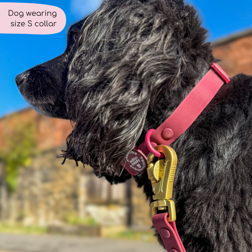 Waterproof Collar - Walkies Ready® Mulberry