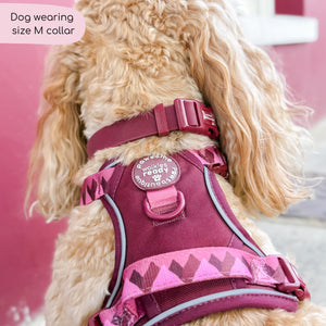Waterproof Collar - Walkies Ready® Mulberry