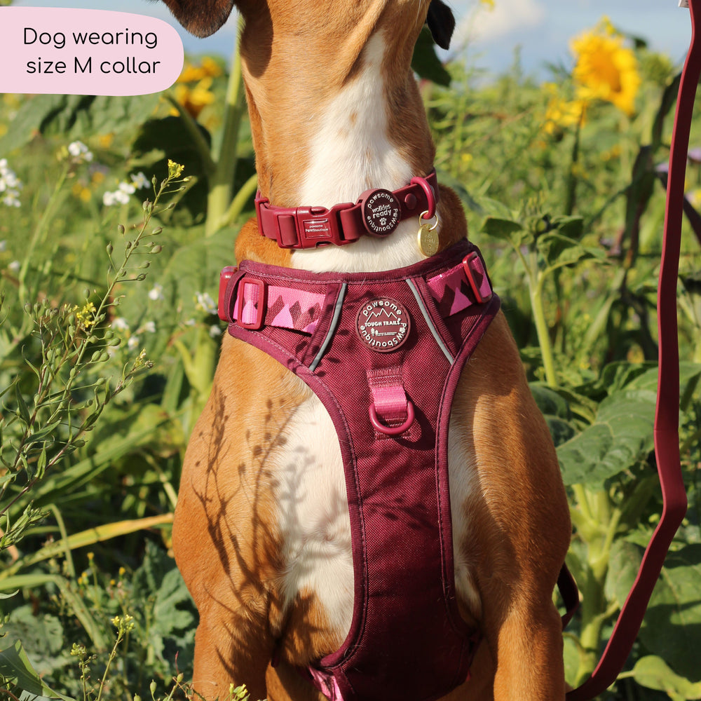 Waterproof Collar - Walkies Ready® Mulberry
