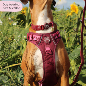 Waterproof Collar - Walkies Ready® Mulberry