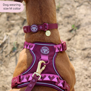 Waterproof Collar - Walkies Ready® Mulberry