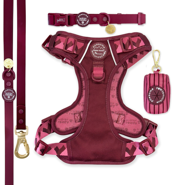 Walkies Ready Mulberry Waterproof Bundle