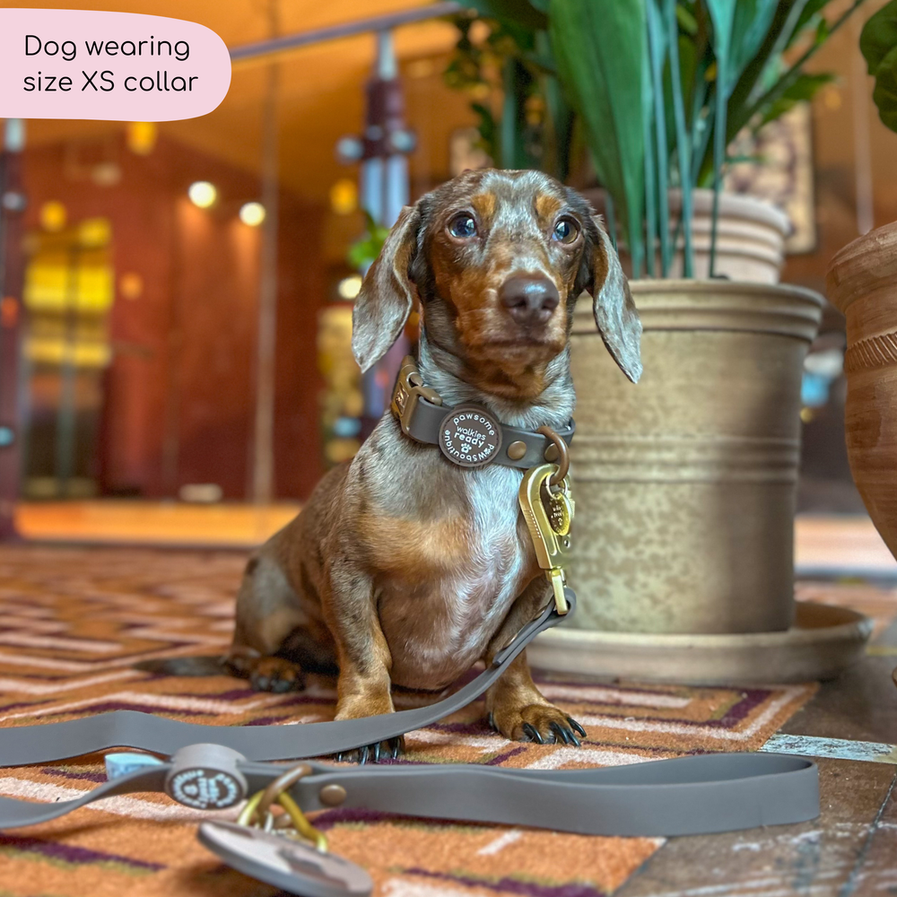 Waterproof Collar - Walkies Ready® Chocolate Brown