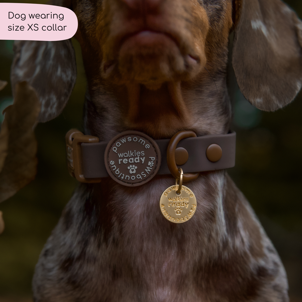 Waterproof Collar - Walkies Ready® Chocolate Brown