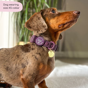 Waterproof Collar - Walkies Ready® Plum