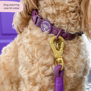 Waterproof Collar - Walkies Ready® Plum
