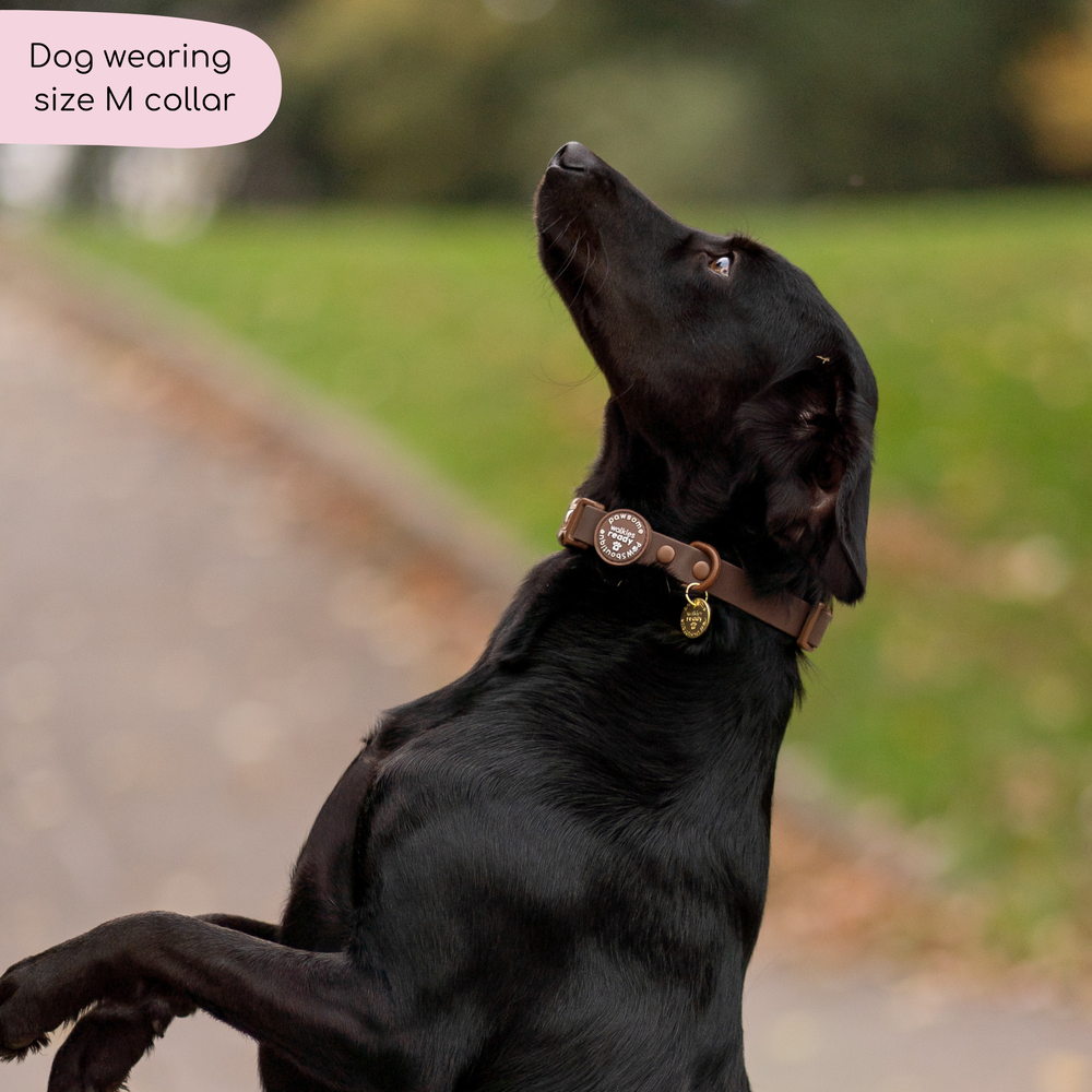 Waterproof Collar - Walkies Ready® Chocolate Brown