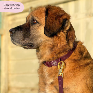 Waterproof Collar - Walkies Ready® Plum