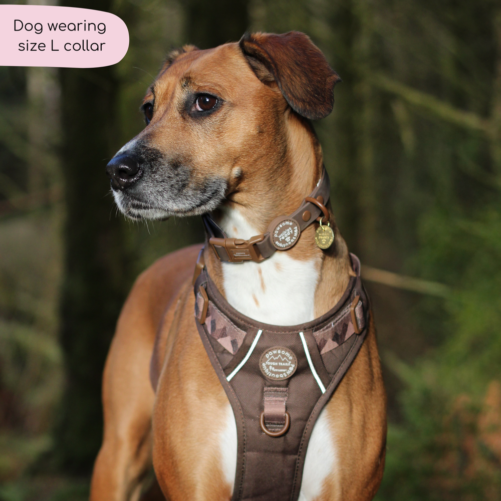 Waterproof Collar - Walkies Ready® Chocolate Brown