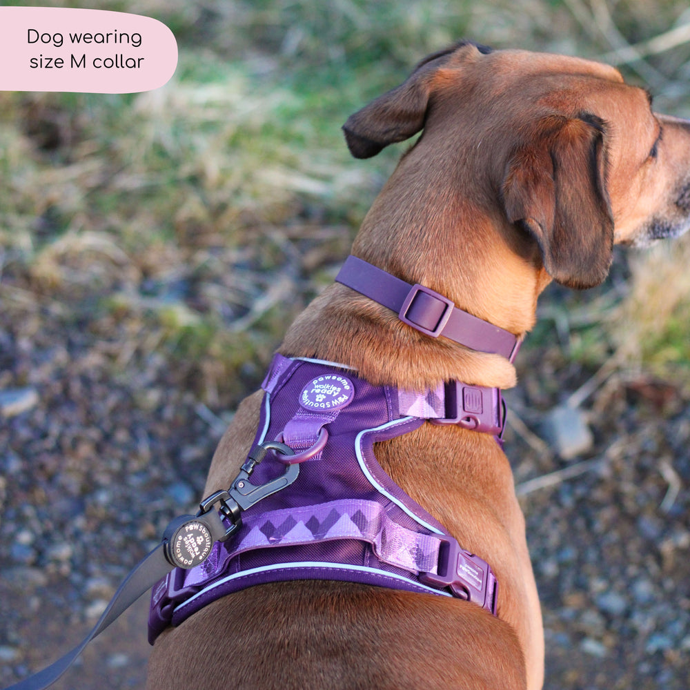 Waterproof Collar - Walkies Ready® Plum