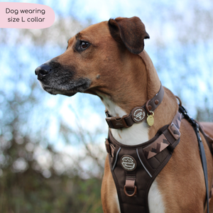 Waterproof Collar - Walkies Ready® Chocolate Brown