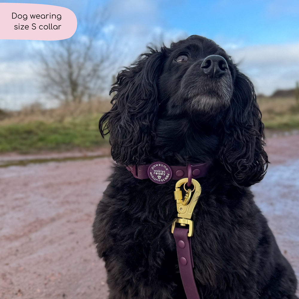 Waterproof Collar - Walkies Ready® Plum