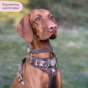 Waterproof Collar - Walkies Ready® Chocolate Brown