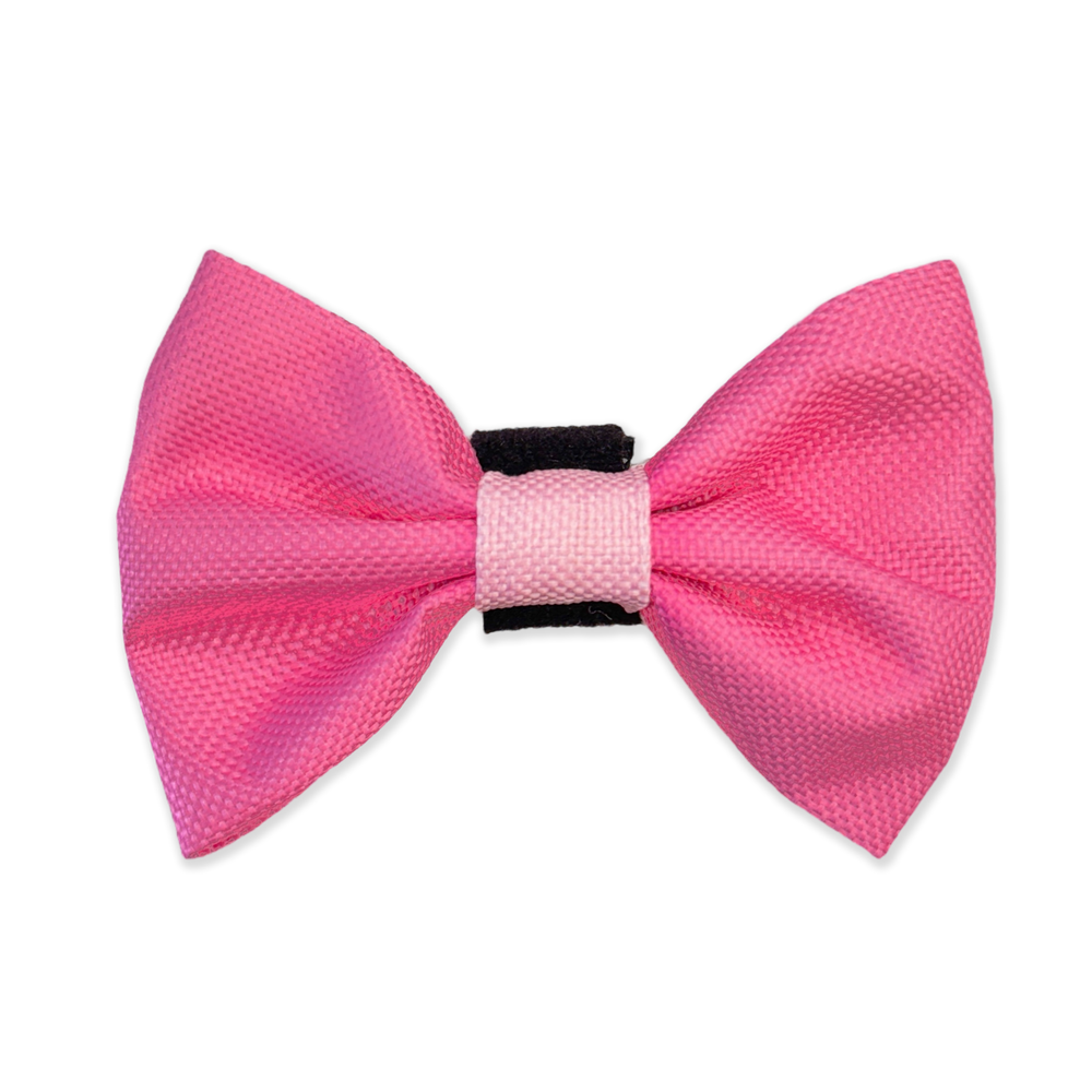 Bow Tie - Walkies Ready® - Raspberry Pink