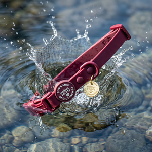 Waterproof Collar - Walkies Ready® Mulberry