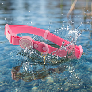 Waterproof Collar - Walkies Ready® Raspberry Pink