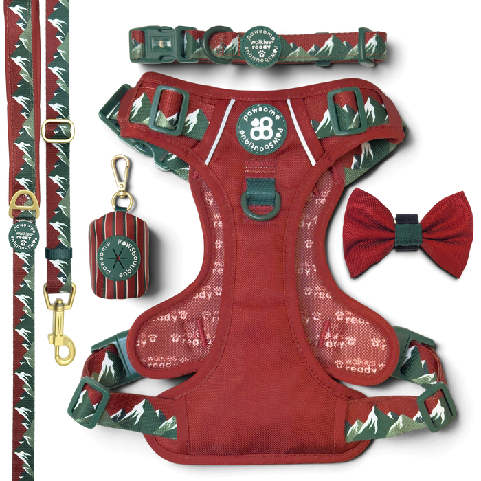 Walkies Ready® Snowy Mountains Ultimate Bundle