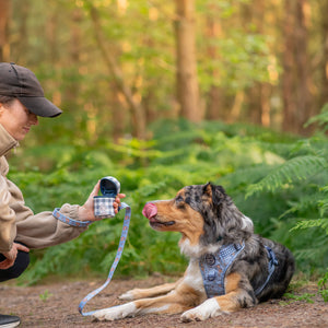 Disney© Treat Pouch - Bambi + Friends Blue