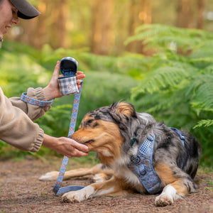 Disney© Treat Pouch - Bambi + Friends Blue
