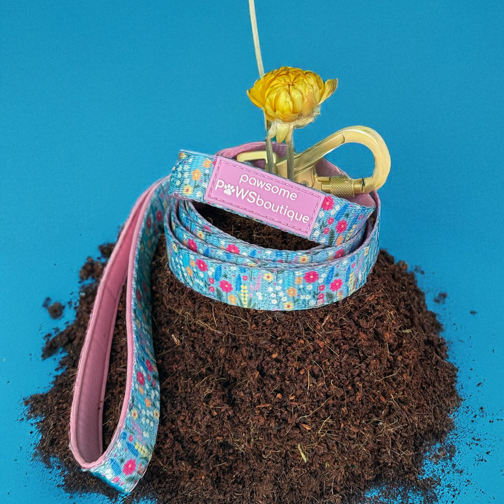 Lead - Whimsical Wildflowers