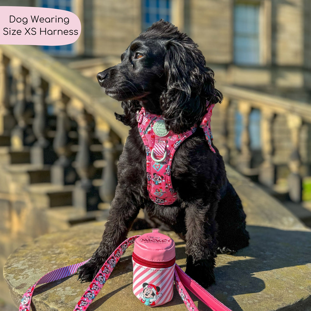 Disney© Tough Trails™ Harness -  Minnie's Christmas