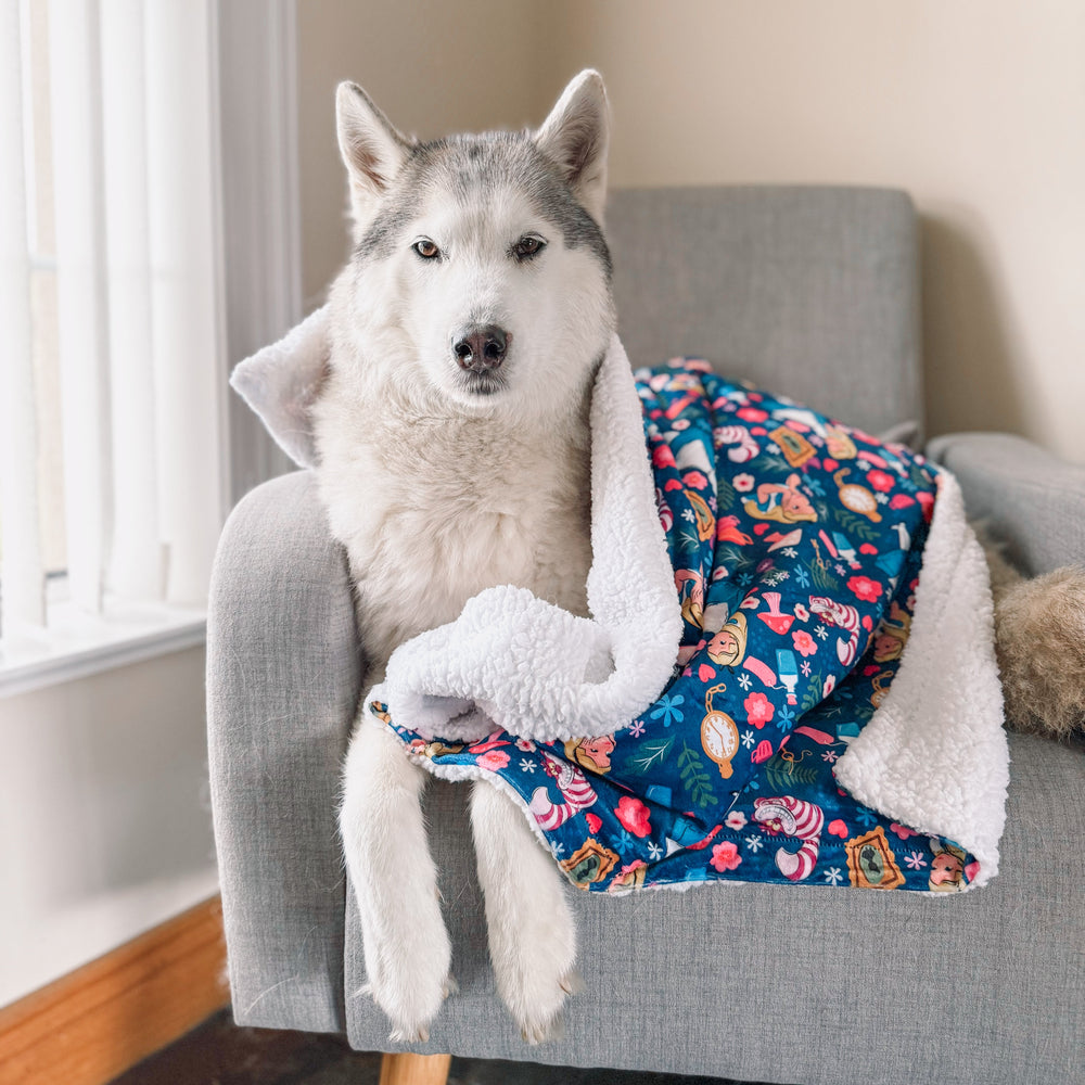 Disney© Dog Blanket - Alice In Wonderland