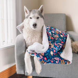 Disney© Dog Blanket - Alice In Wonderland