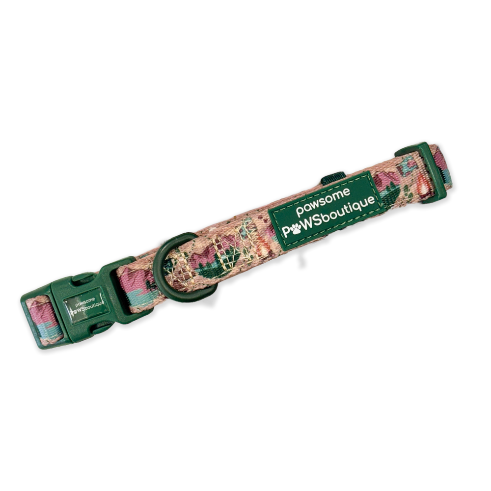 Collar - Adventure Awaits