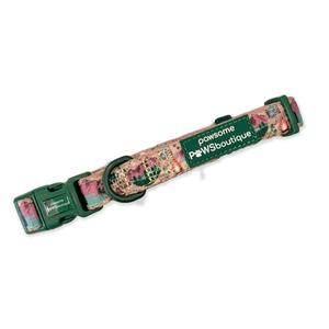 Collar - Adventure Awaits