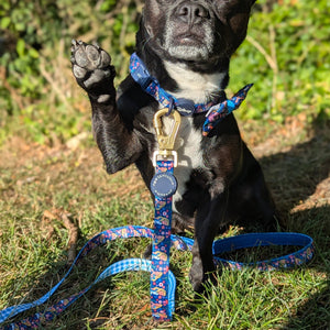 Disney© Lead - Alice In Wonderland