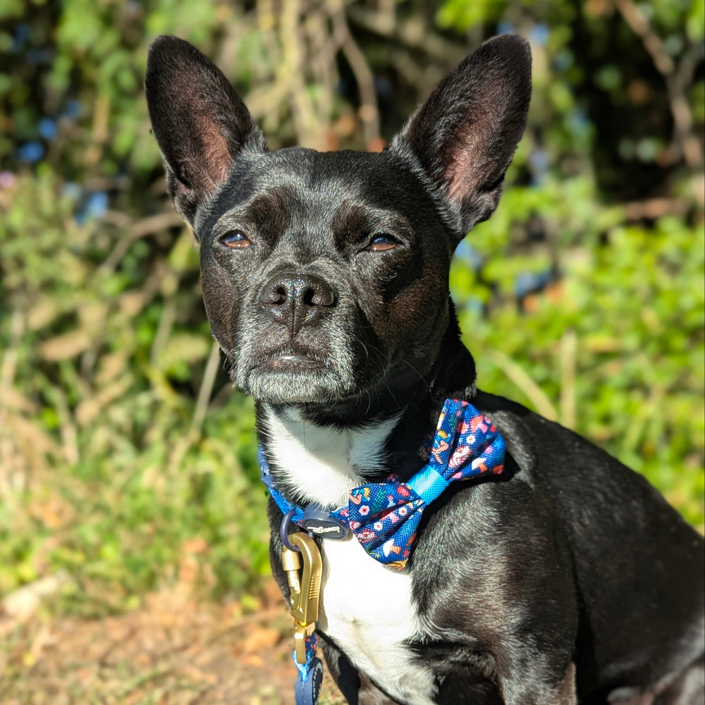 Disney© Bow Tie - Alice In Wonderland