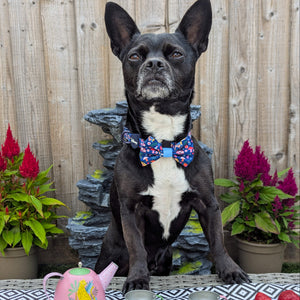 Disney© Bow Tie - Alice In Wonderland