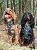 Waterproof Collar -  Jade (Gold Hardware)