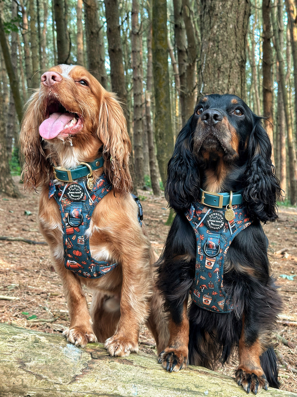 Waterproof Collar -  Jade (Gold Hardware)