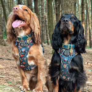 Waterproof Collar -  Jade (Gold Hardware)