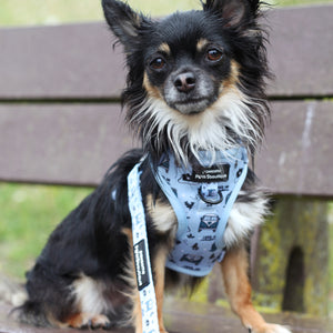 Lead - Reuben's Roadtrip