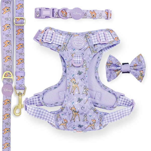 Bambi Lilac Ultimate Bundle