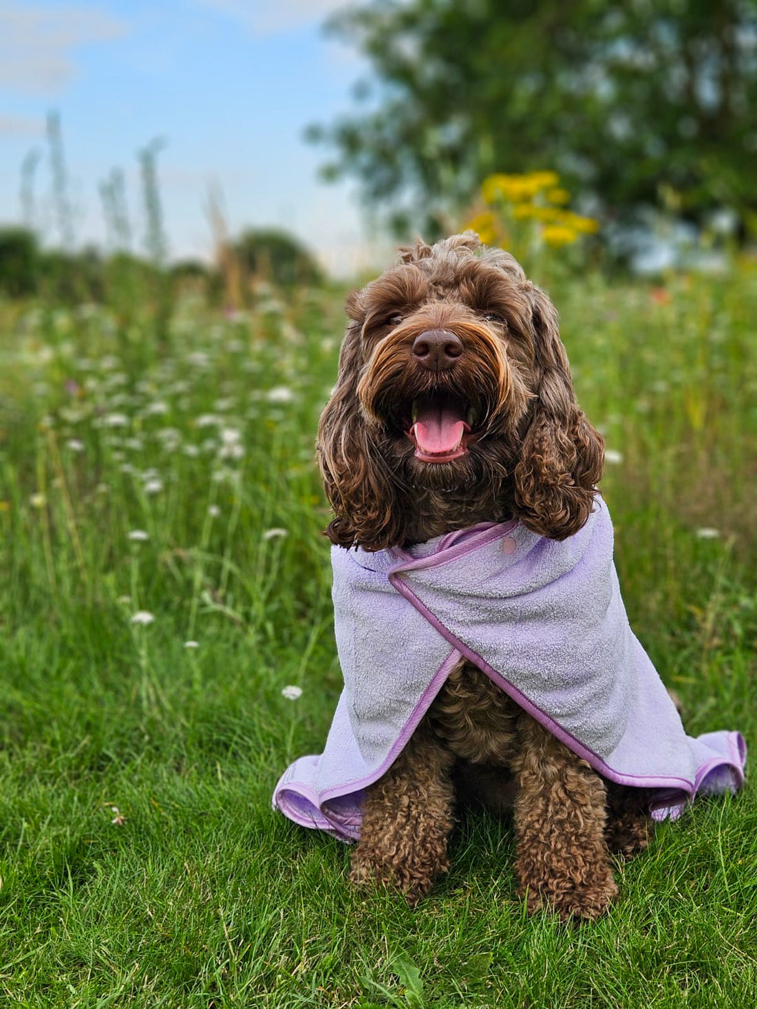 Disney© Hooded Microfibre Towel - Bambi + Friends Lilac