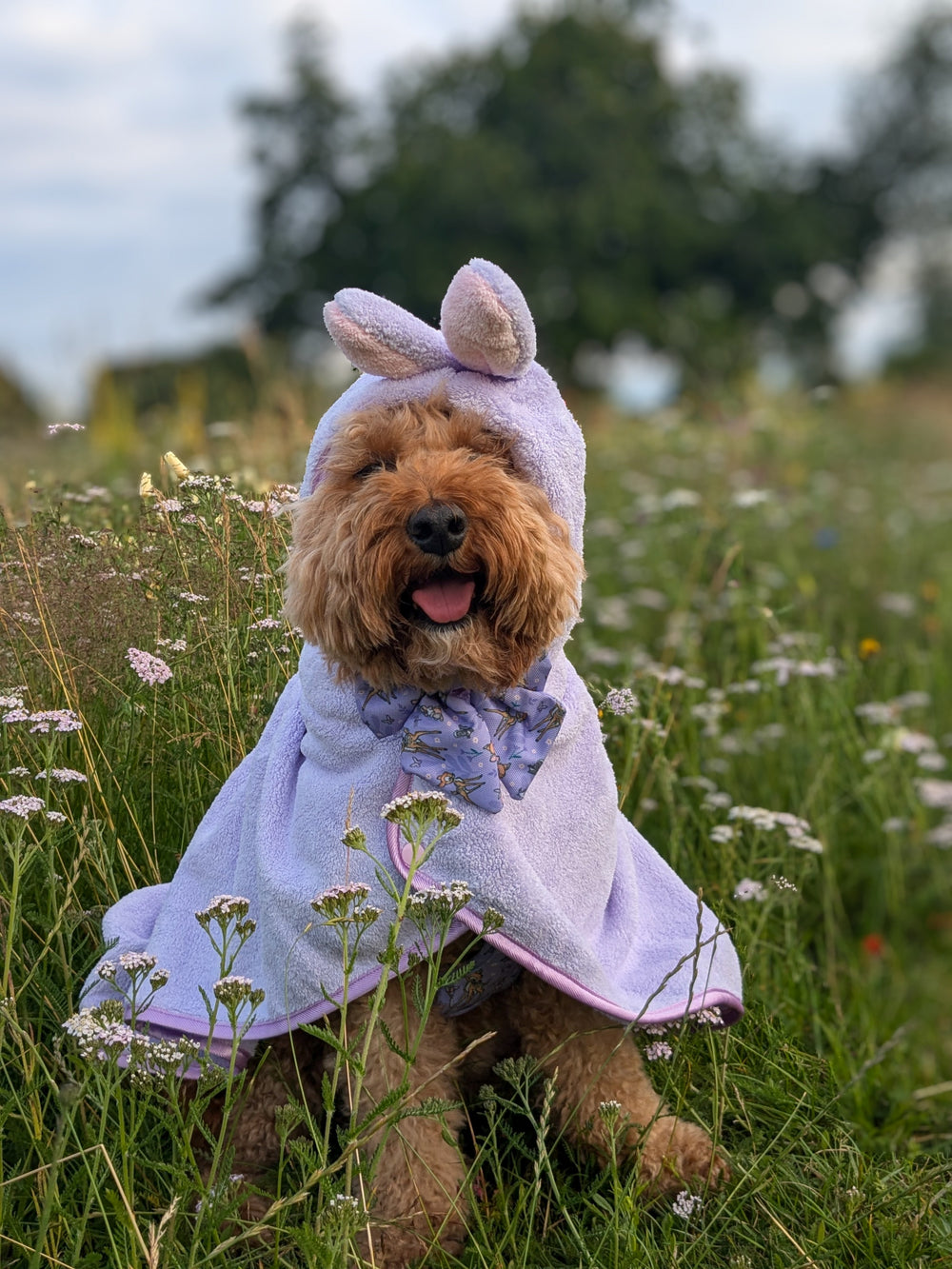 Disney© Hooded Microfibre Towel - Bambi + Friends Lilac