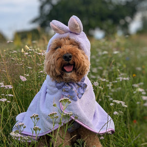 Disney© Hooded Microfibre Towel - Bambi + Friends Lilac