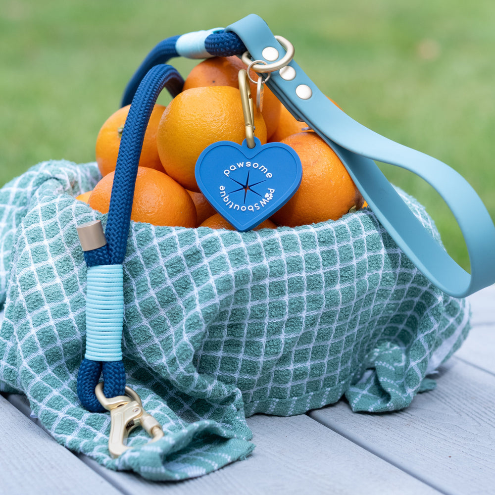 4ft Rope Lead - Royal Blue