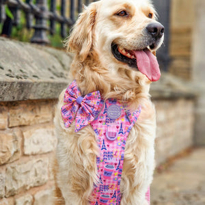 Sailor Bow Tie - Emily In Paris
