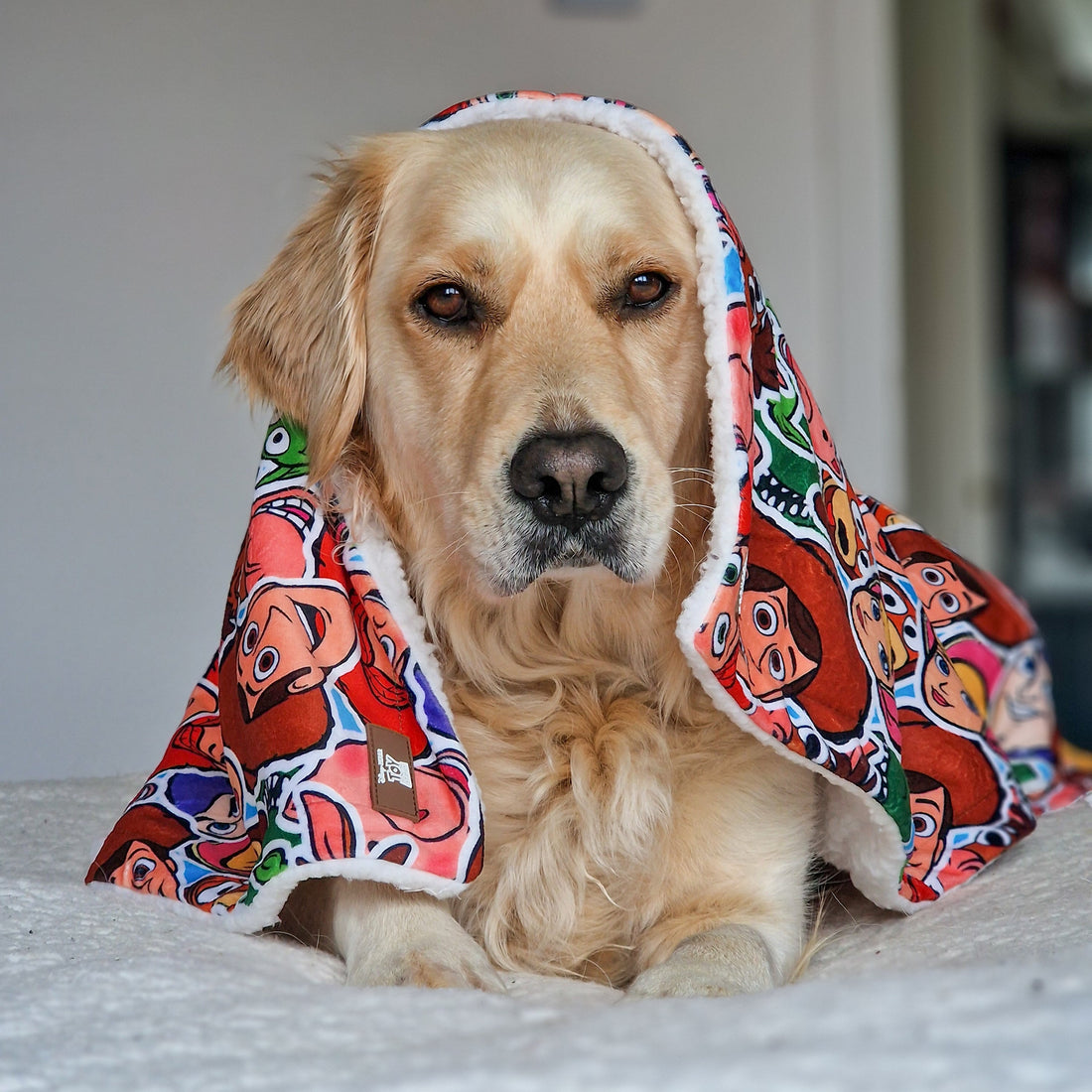 Disney© Dog Blanket - Toy Story Friends