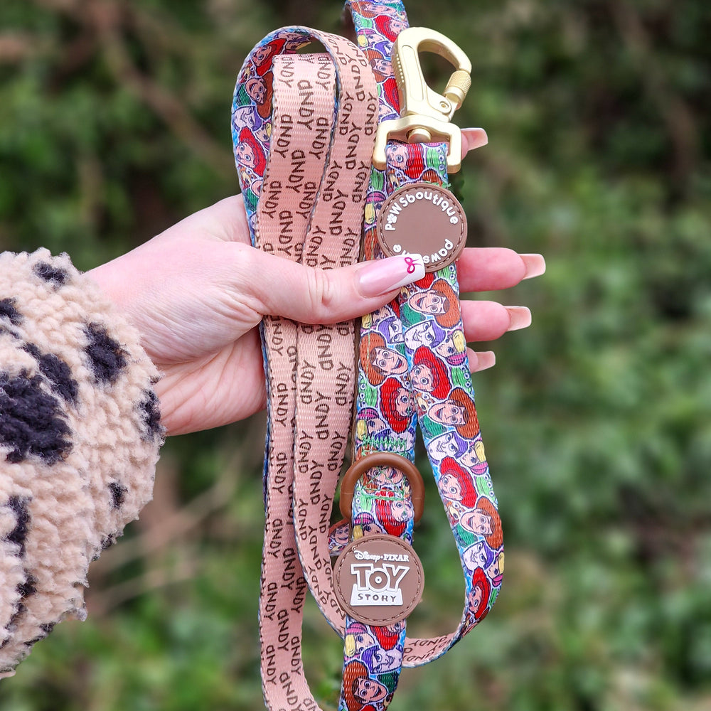 Disney© Lead - Toy Story Friends