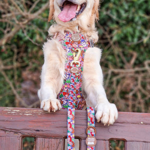 Disney© Lead - Toy Story Friends