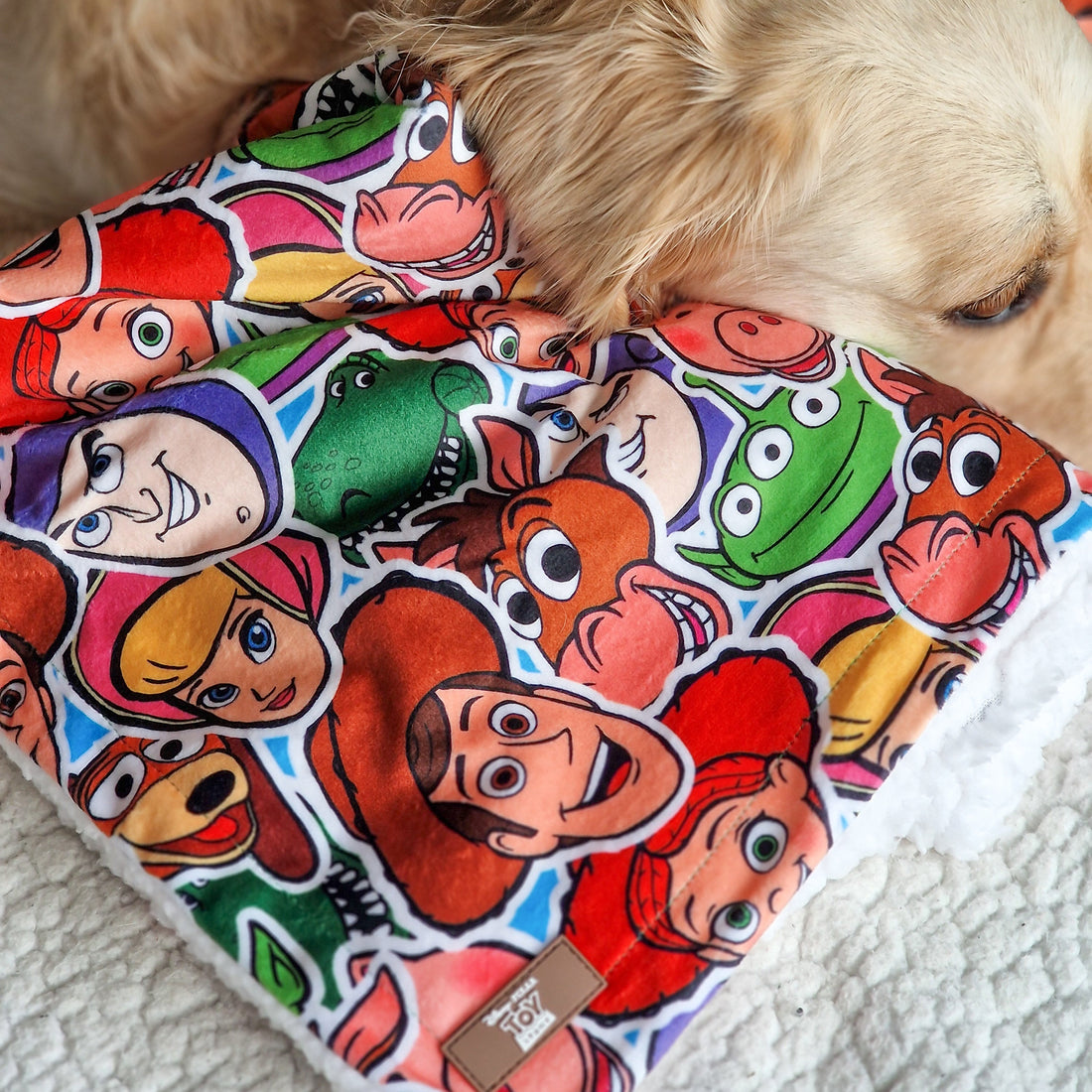 Disney© Dog Blanket - Toy Story Friends