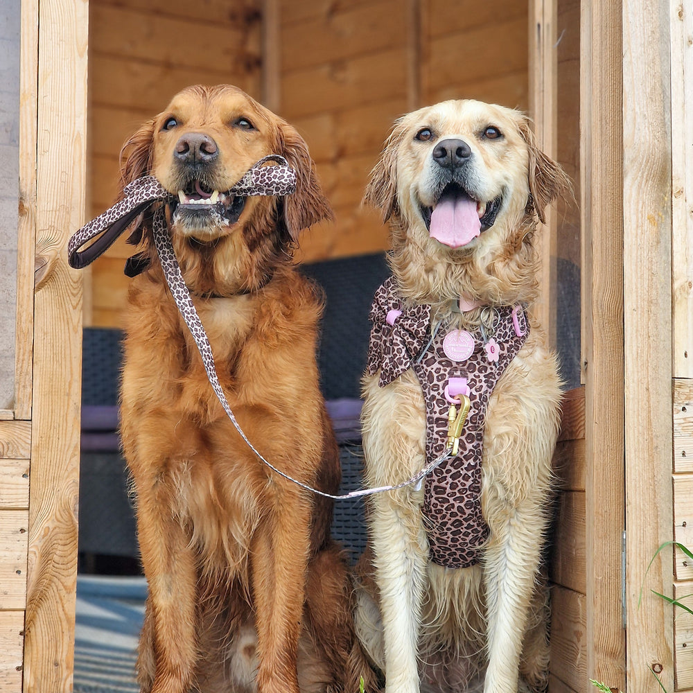 Lead - Leopard Print