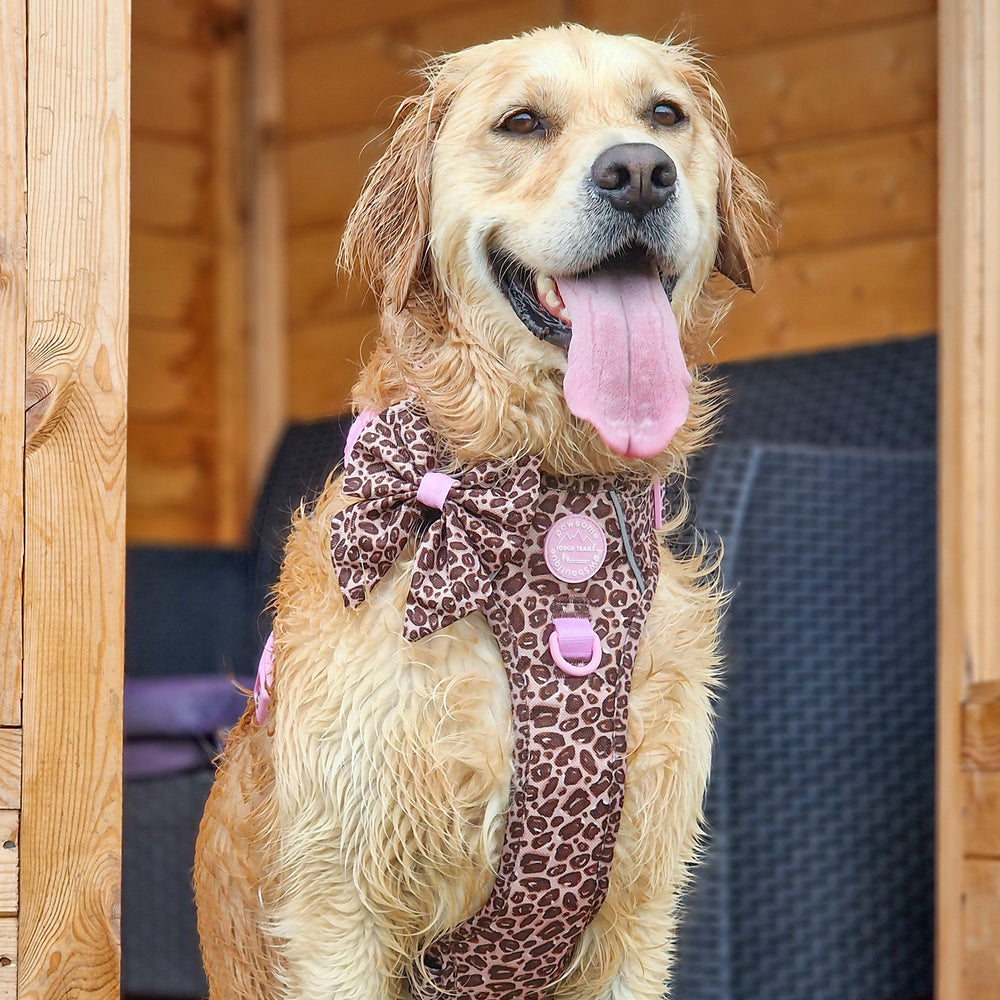 Sailor Bow - Leopard Print