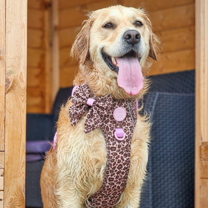 Sailor Bow - Leopard Print